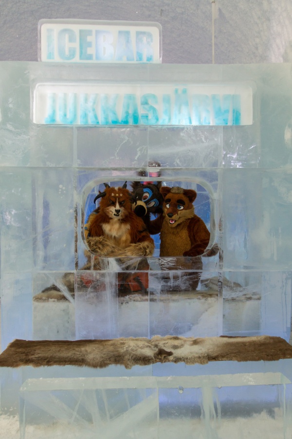 Furry northern Sweden trip, Ice Hotel