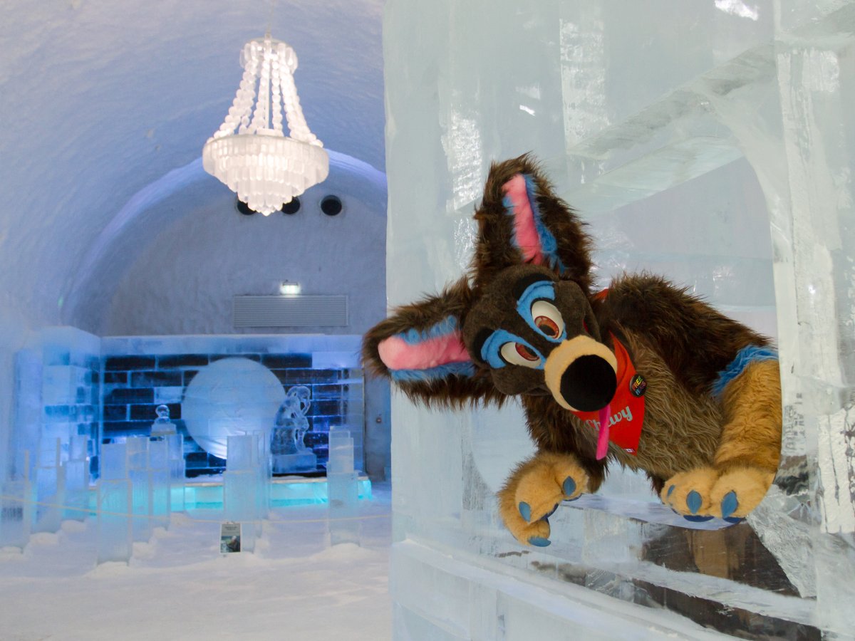 Furry northern Sweden trip, Ice Hotel