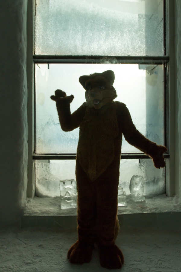 Furry northern Sweden trip, Ice Hotel