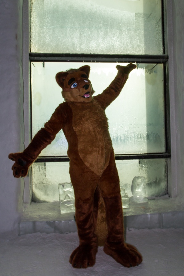 Furry northern Sweden trip, Ice Hotel