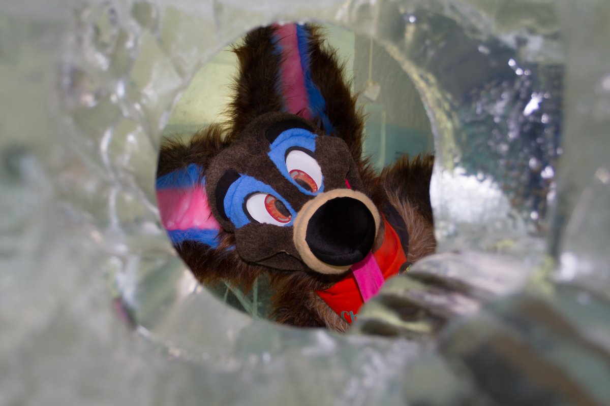Furry northern Sweden trip, Ice Hotel