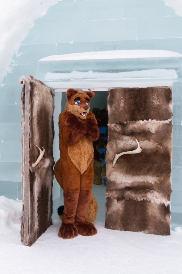 Furry northern Sweden trip, Ice Hotel