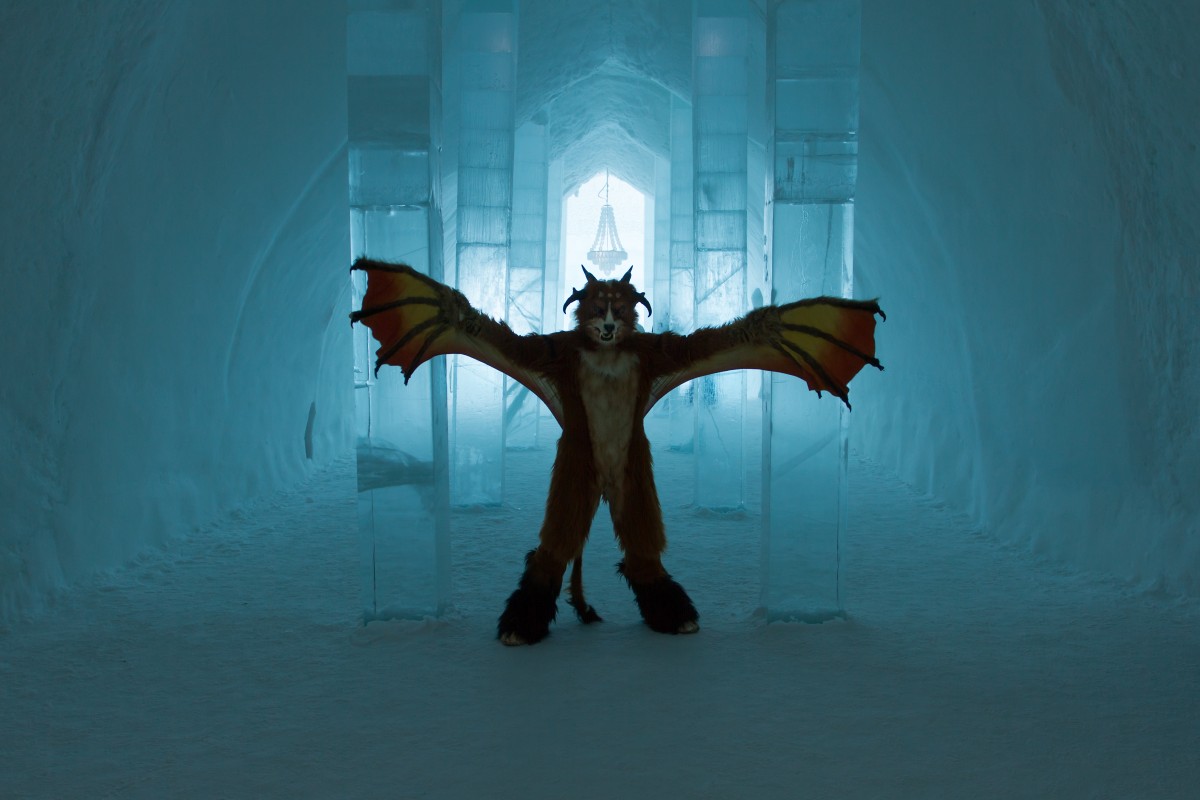 Furry northern Sweden trip, Ice Hotel