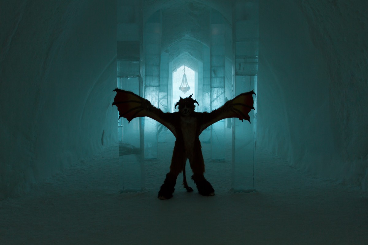 Furry northern Sweden trip, Ice Hotel