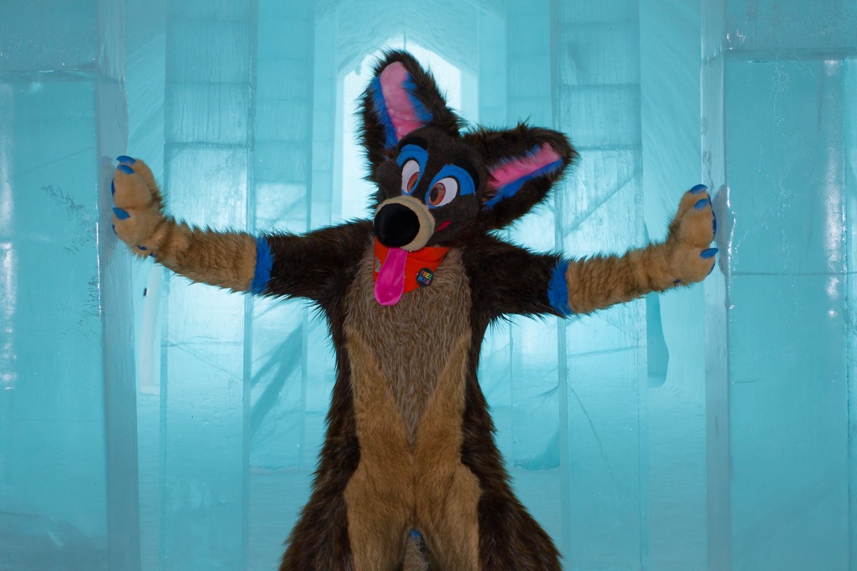 Furry northern Sweden trip, Ice Hotel