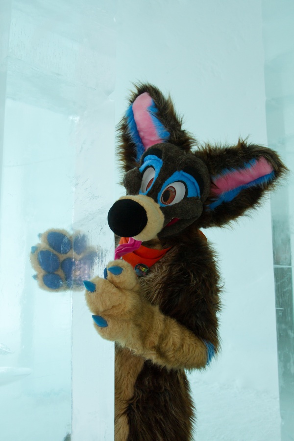 Furry northern Sweden trip, Ice Hotel
