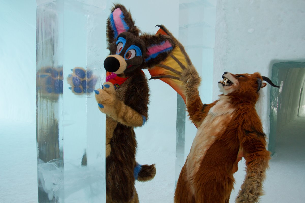 Furry northern Sweden trip, Ice Hotel