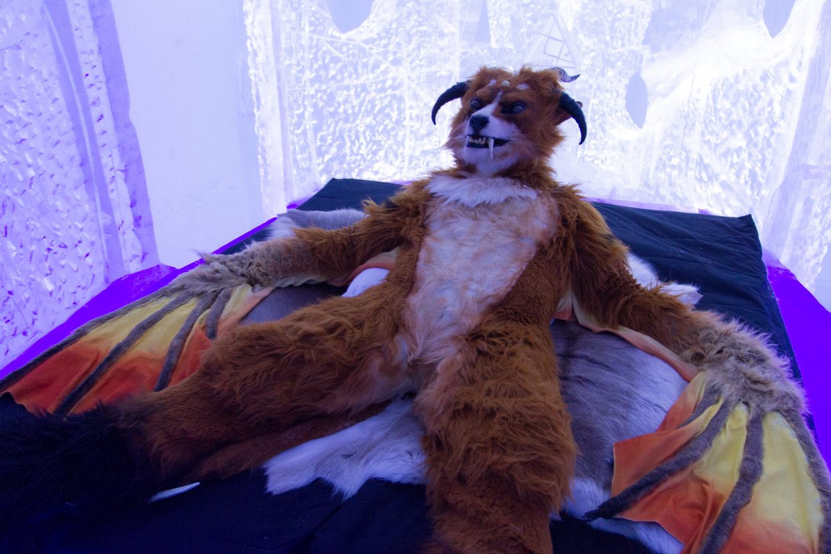 Furry northern Sweden trip, Ice Hotel