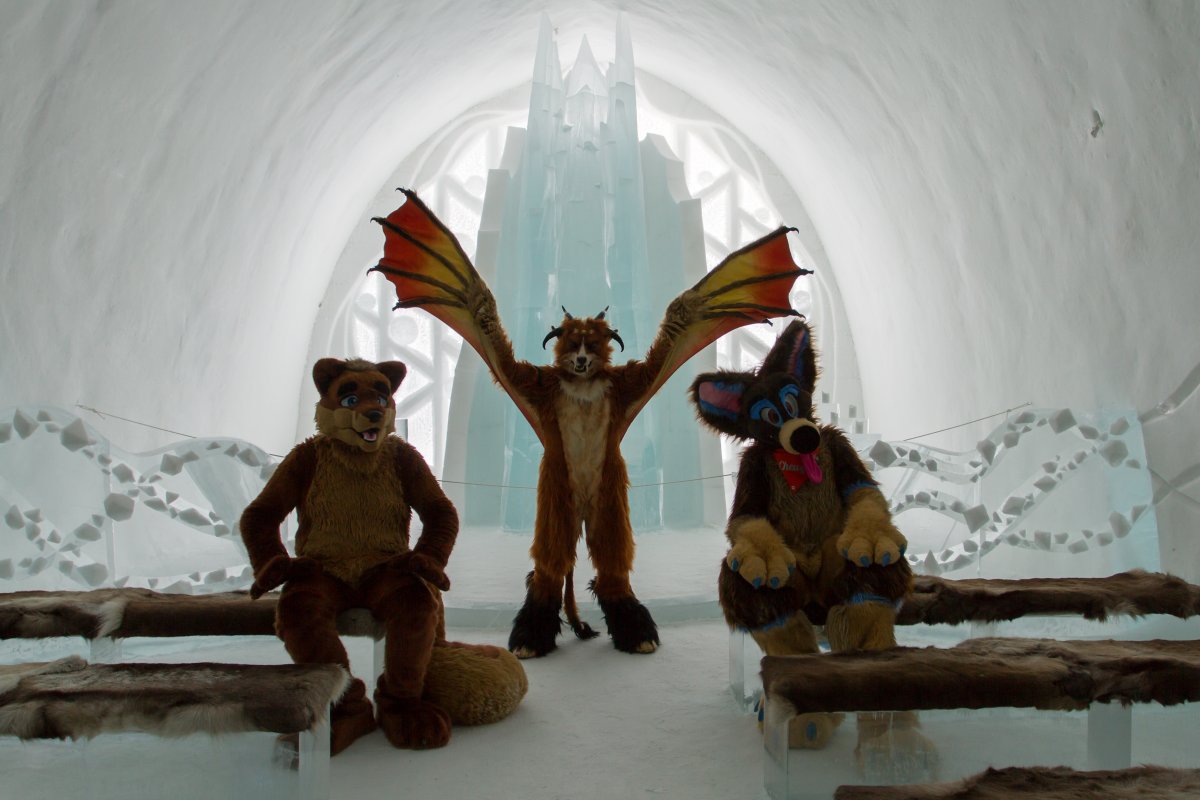 Furry northern Sweden trip, Ice Hotel