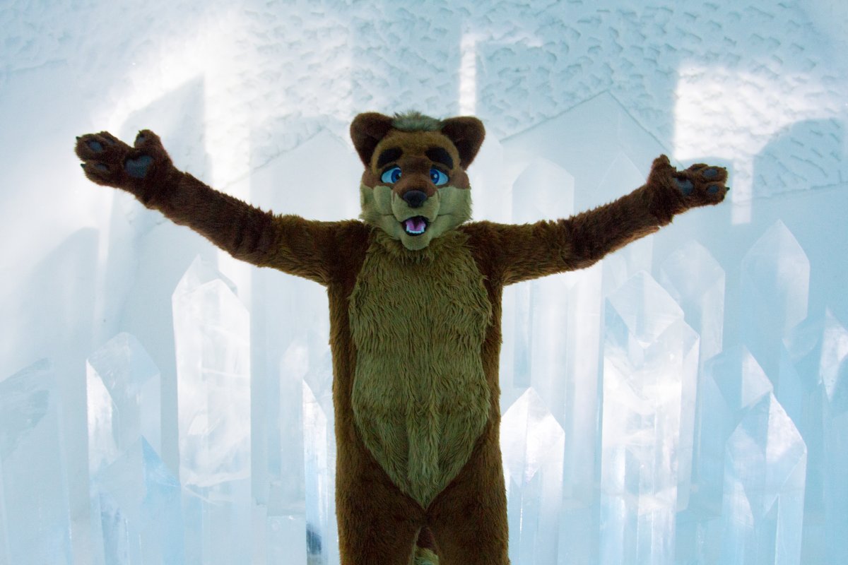 Furry northern Sweden trip, Ice Hotel