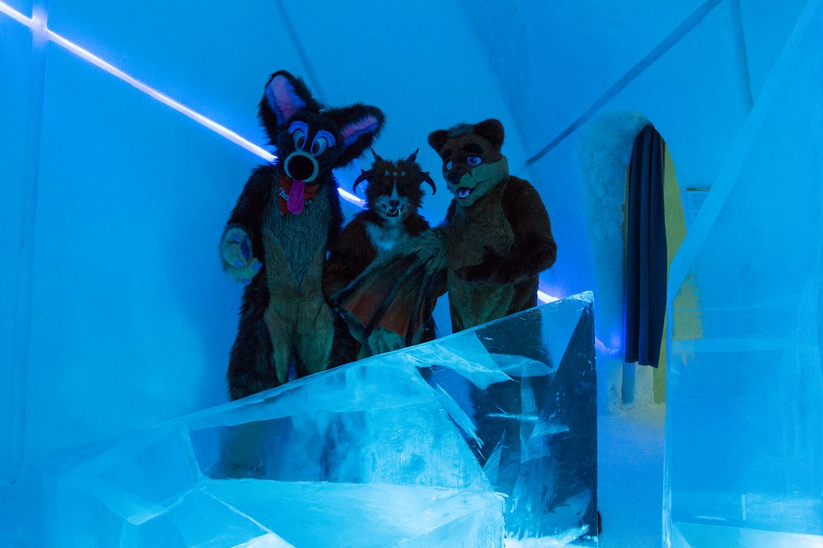 Furry northern Sweden trip, Ice Hotel