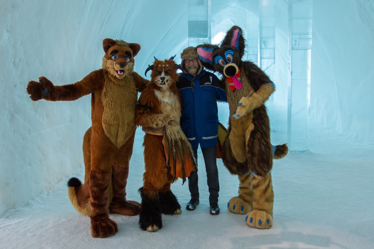 Furry northern Sweden trip, Ice Hotel