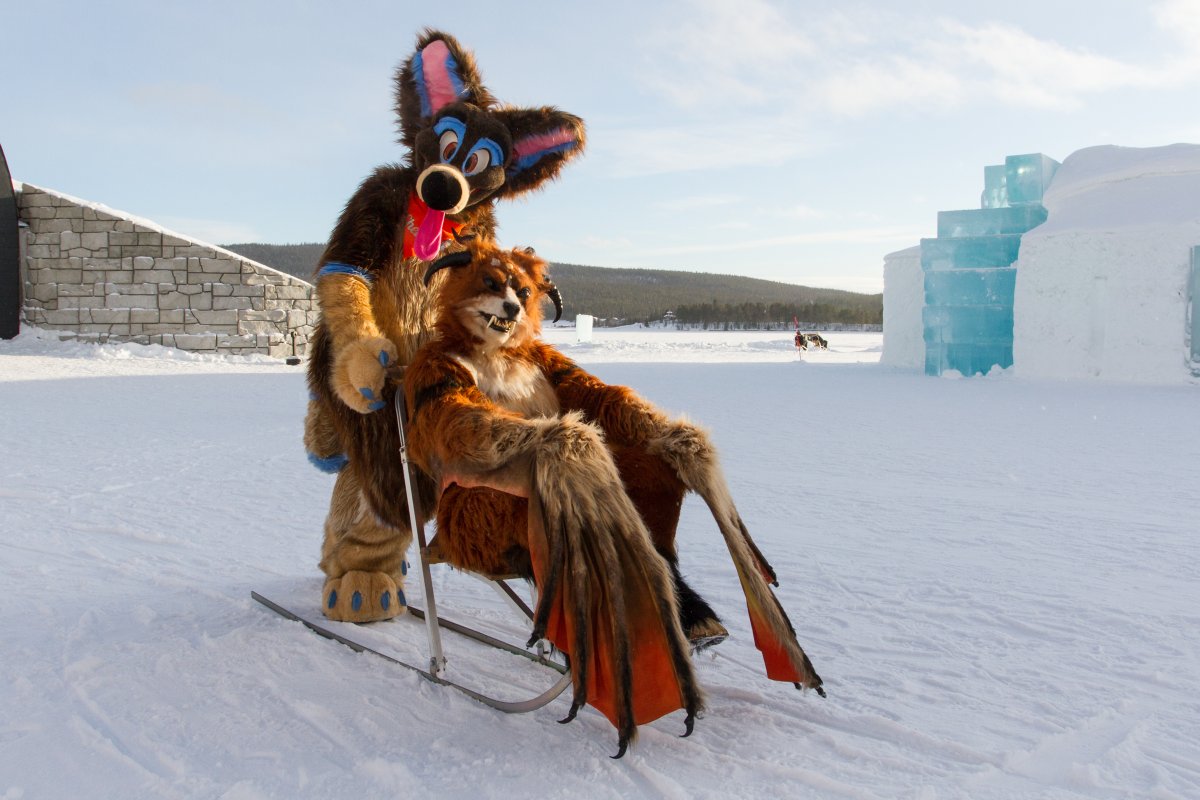 Furry northern Sweden trip, Ice Hotel