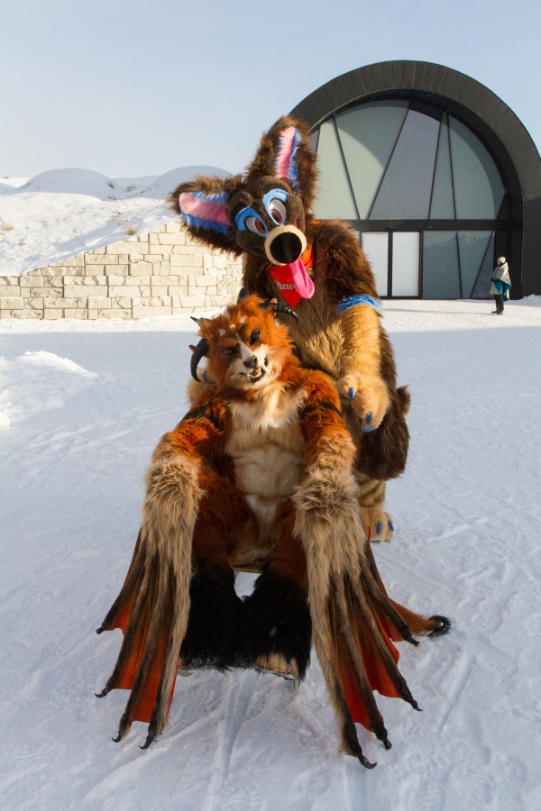 Furry northern Sweden trip, Ice Hotel