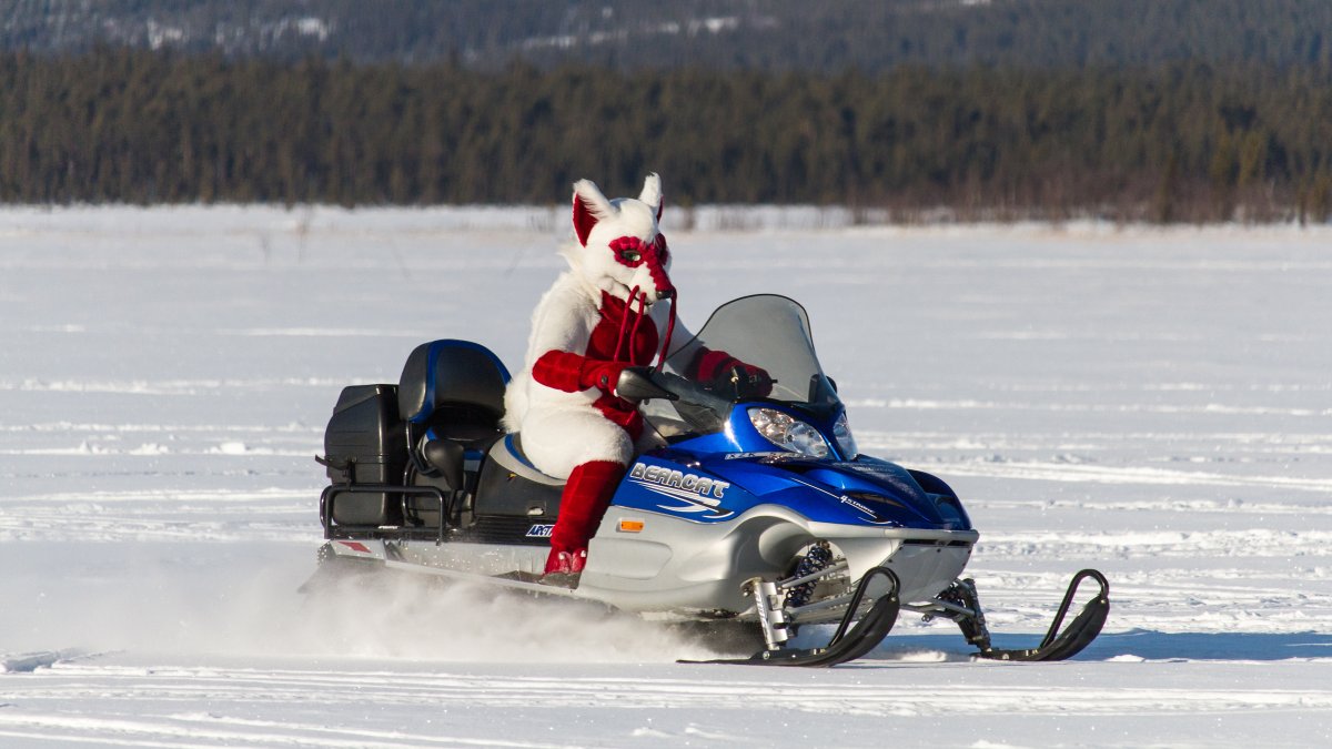 Furry northern Sweden trip, Other photos