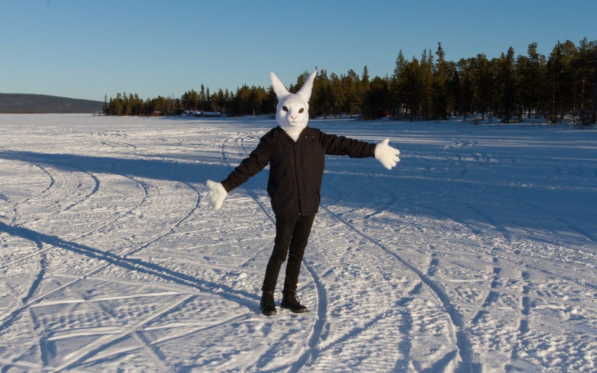Furry northern Sweden trip, Lumie bunny