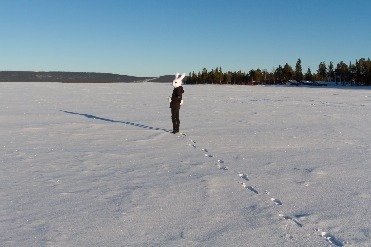 Furry northern Sweden trip
