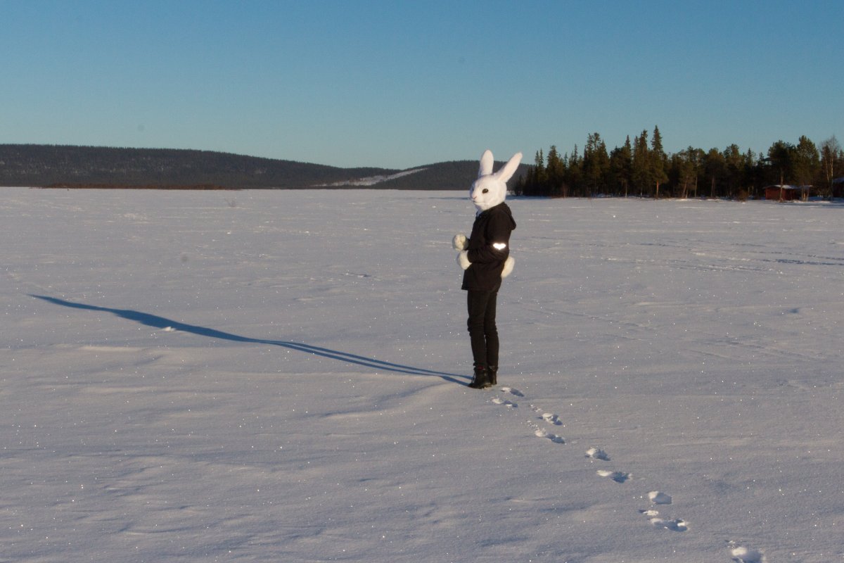 Furry northern Sweden trip, Lumie bunny