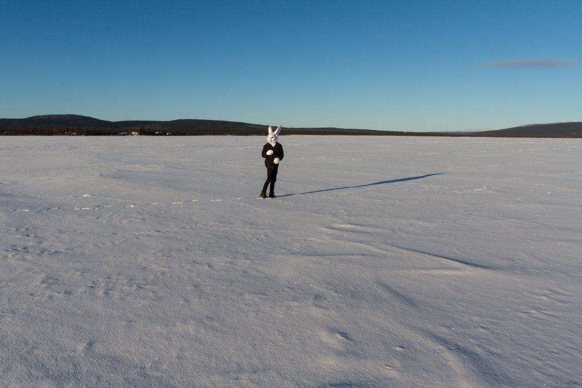 Furry northern Sweden trip, Lumie bunny