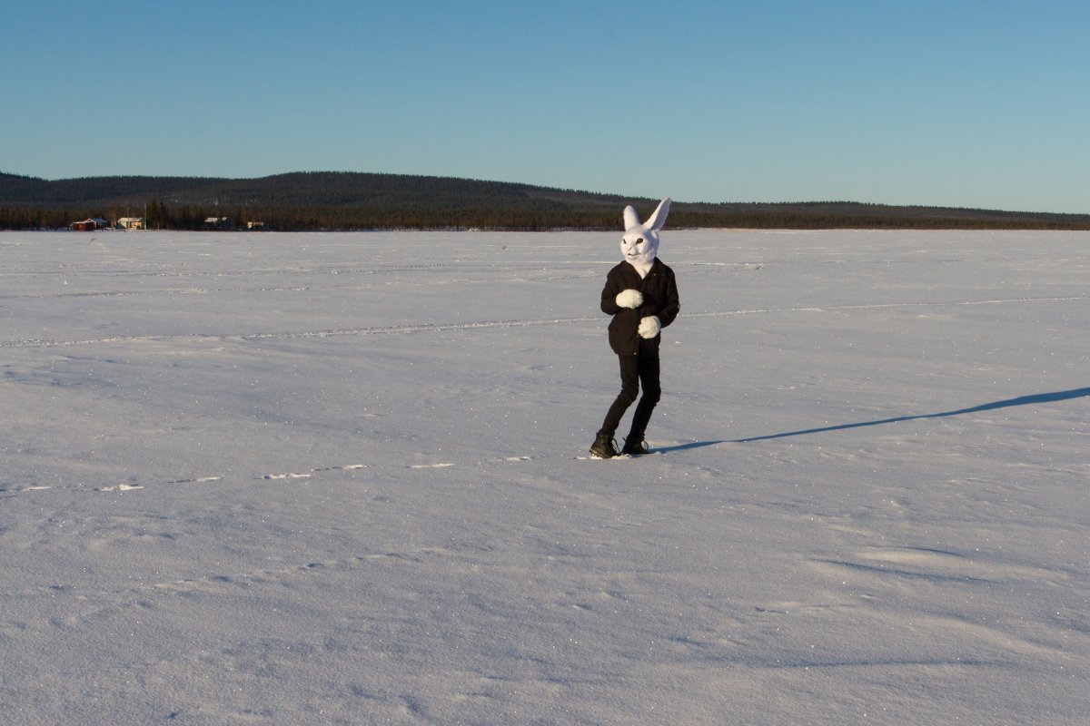 Furry northern Sweden trip, Lumie bunny