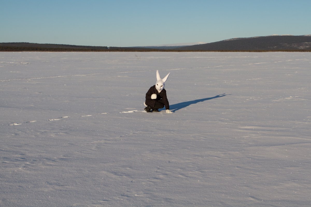 Furry northern Sweden trip, Lumie bunny