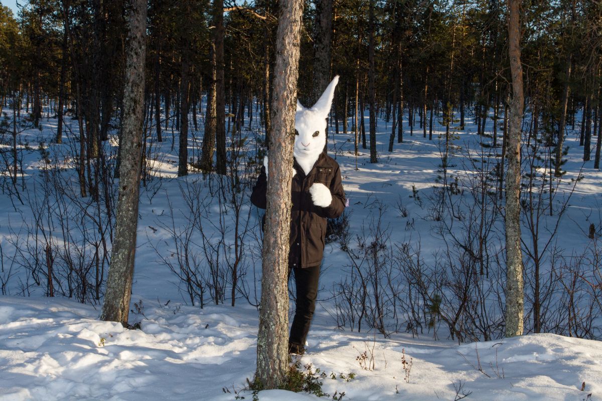 Furry northern Sweden trip, Lumie bunny