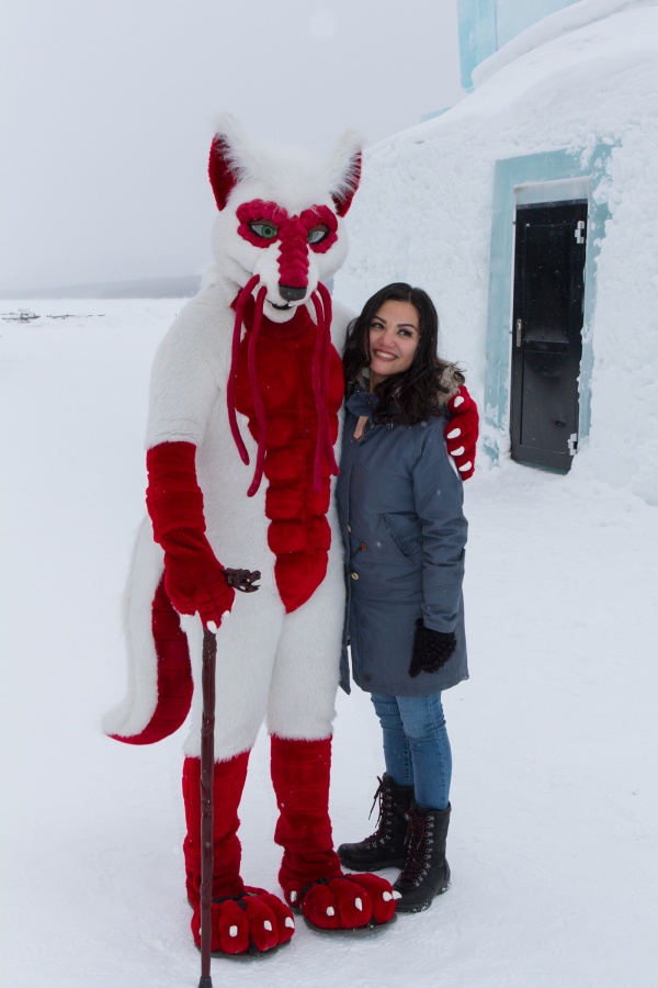 Furry northern Sweden trip, Ice Hotel