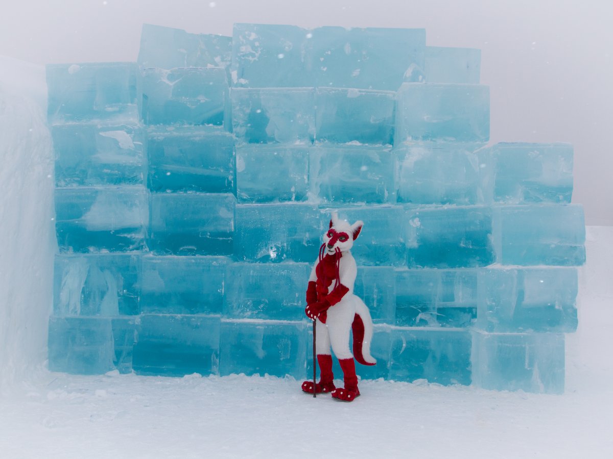Furry northern Sweden trip, Ice Hotel