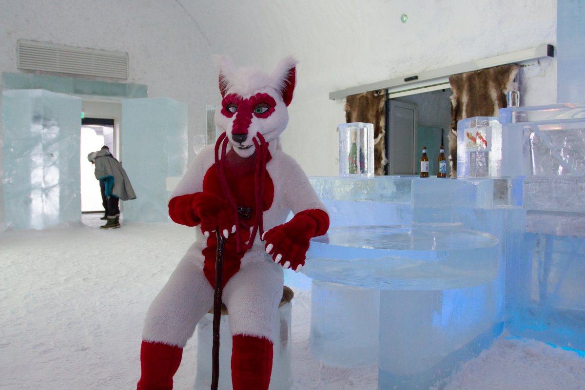 Furry northern Sweden trip, Ice Hotel