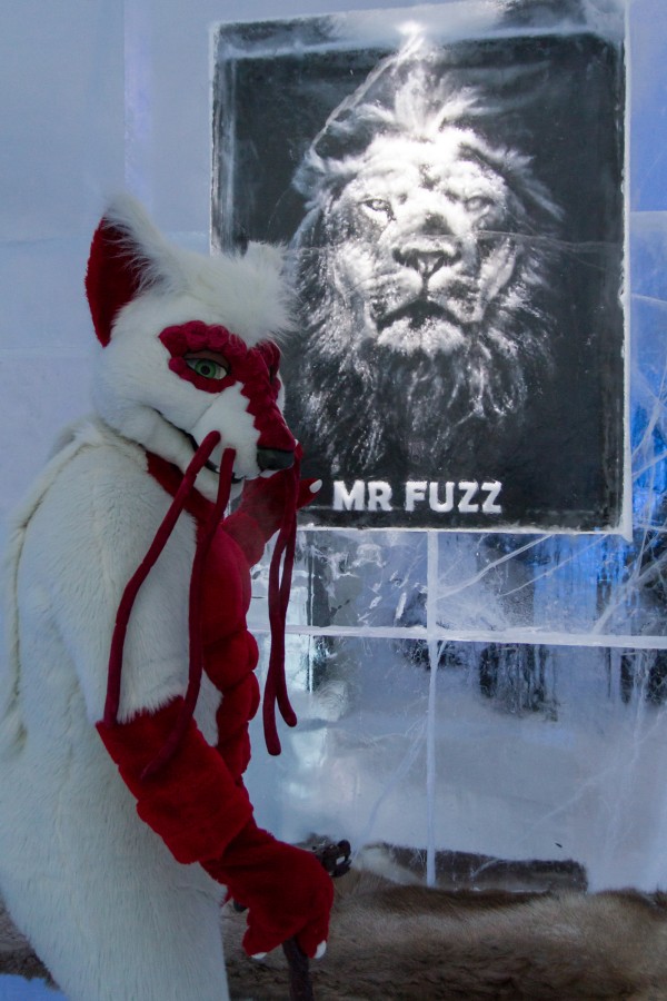 Furry northern Sweden trip, Ice Hotel