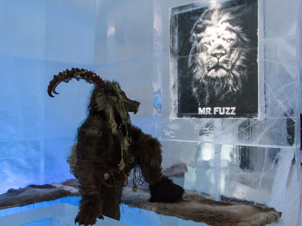 Furry northern Sweden trip, Ice Hotel