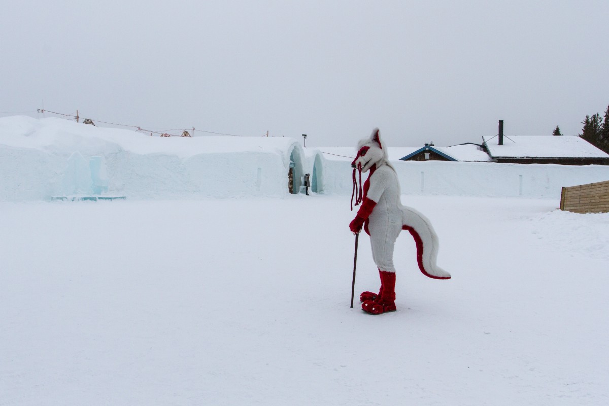 Furry northern Sweden trip, Ice Hotel
