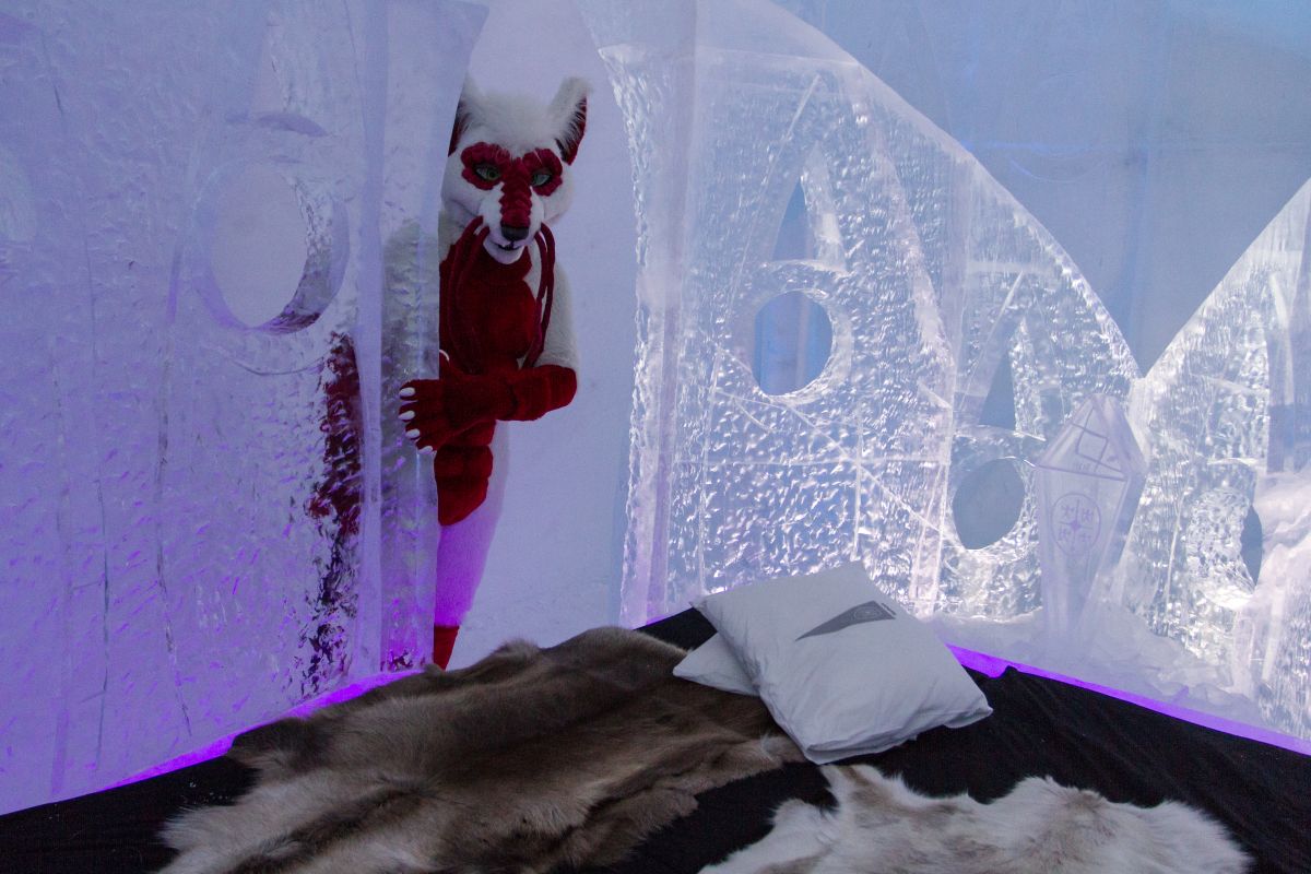 Furry northern Sweden trip, Ice Hotel