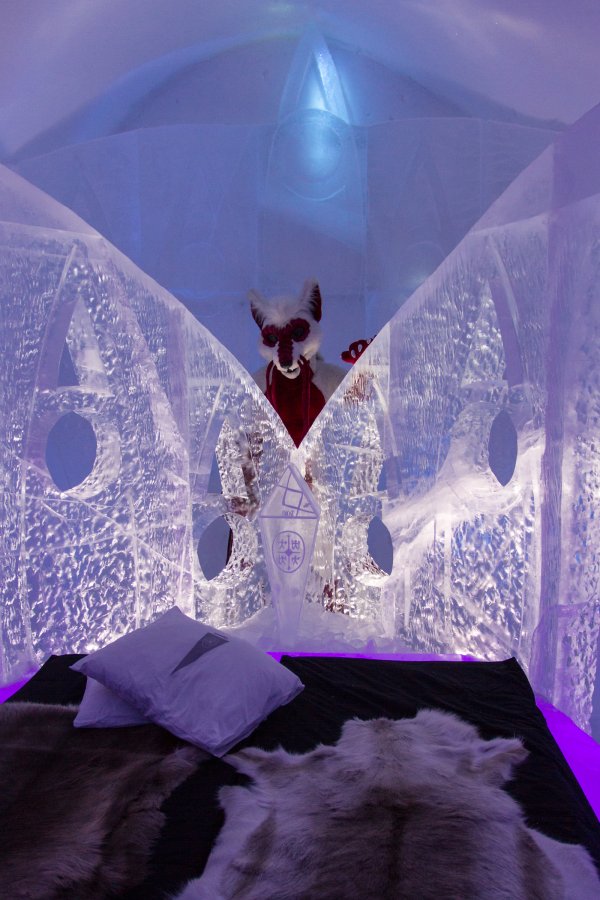 Furry northern Sweden trip, Ice Hotel