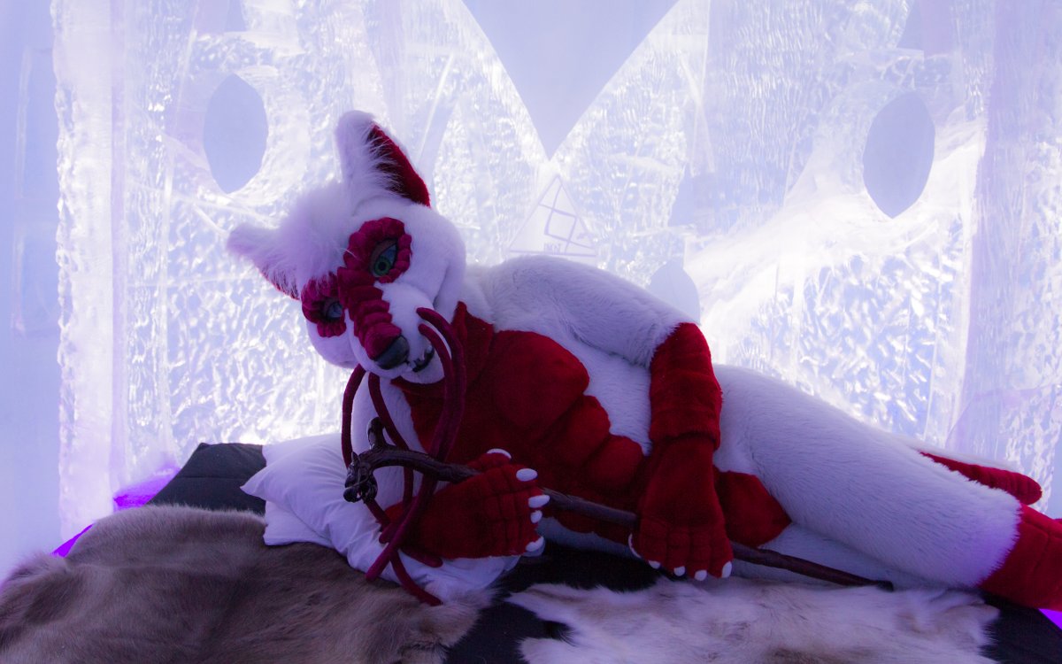 Furry northern Sweden trip, Ice Hotel