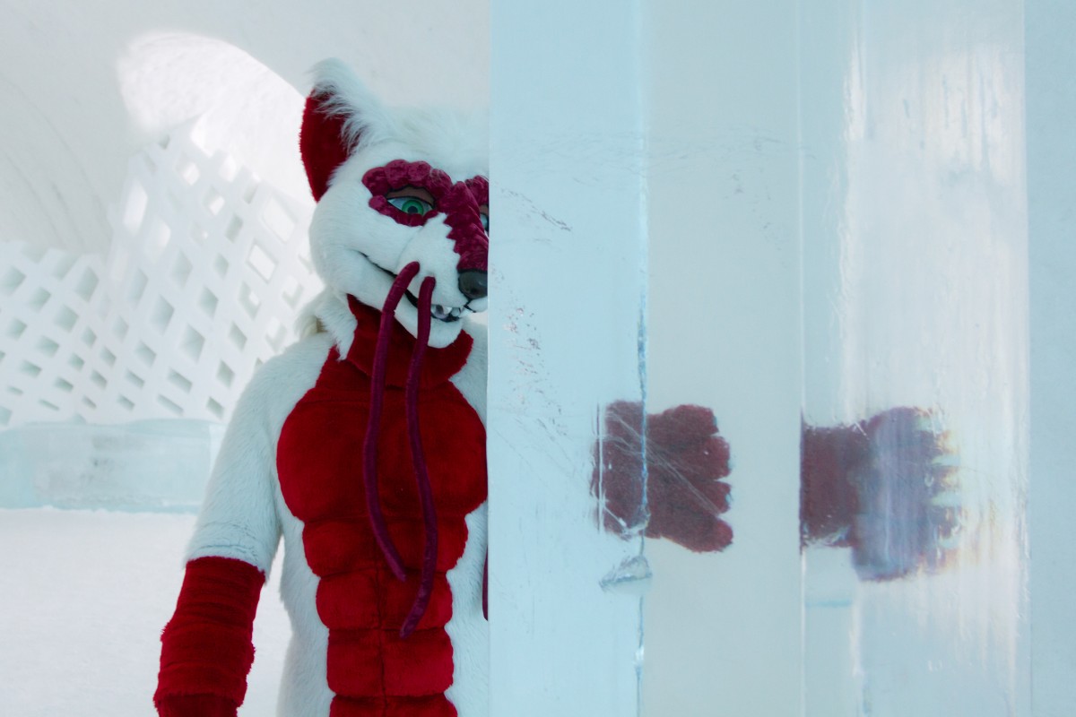 Furry northern Sweden trip, Ice Hotel