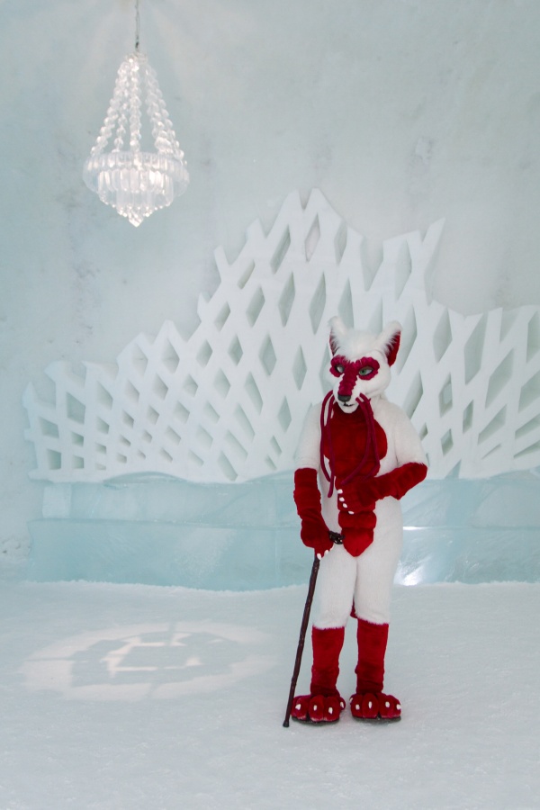 Furry northern Sweden trip, Ice Hotel