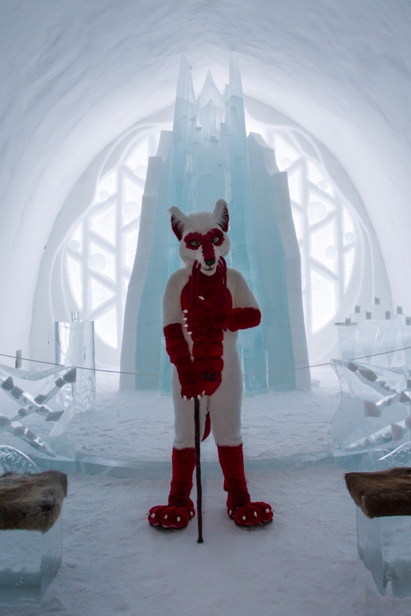Furry northern Sweden trip, Ice Hotel