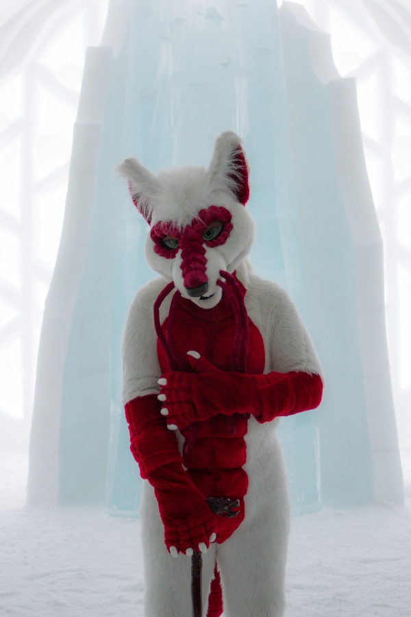 Furry northern Sweden trip, Ice Hotel