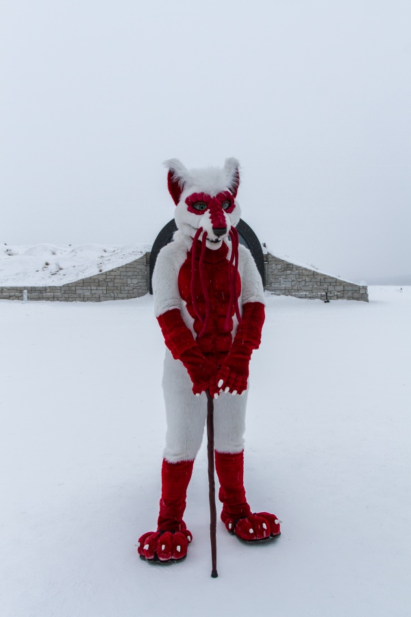 Furry northern Sweden trip, Ice Hotel