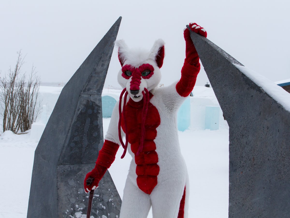 Furry northern Sweden trip, Ice Hotel