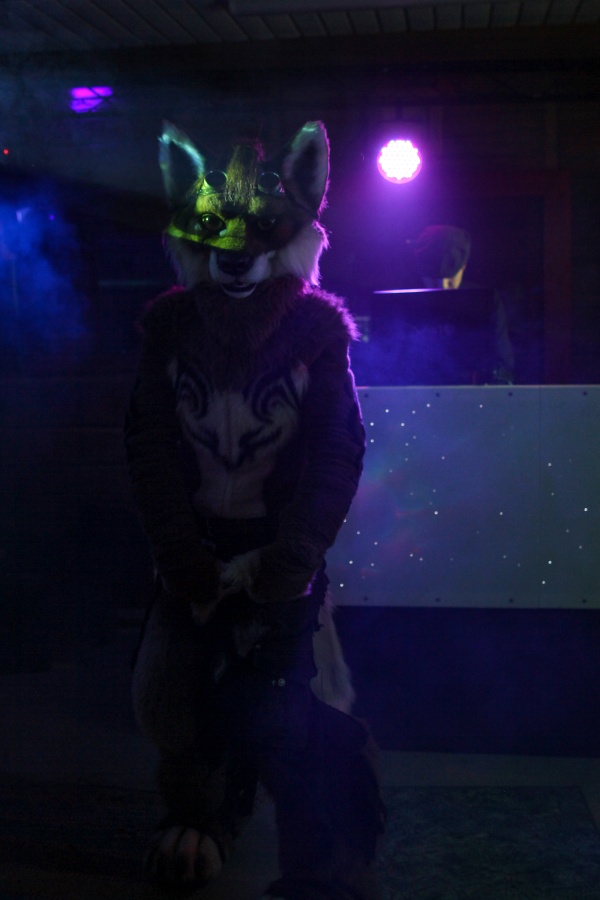 RanCon 2017, Other photos