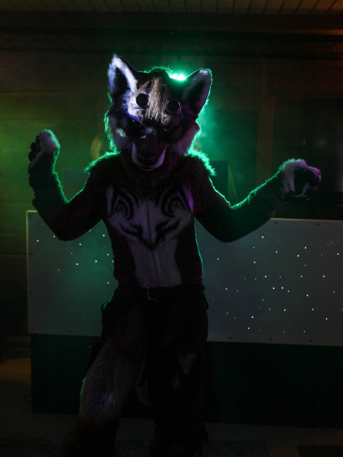 RanCon 2017, Other photos