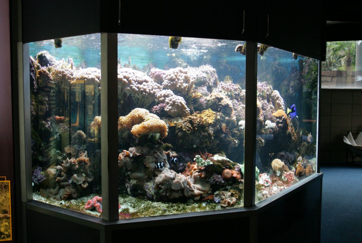 RBW 2007, London zoo
