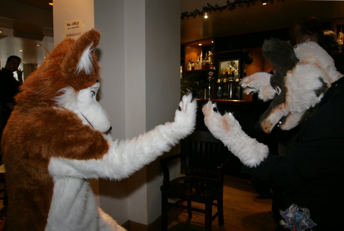 RBW 2007, Fursuiters (groups)