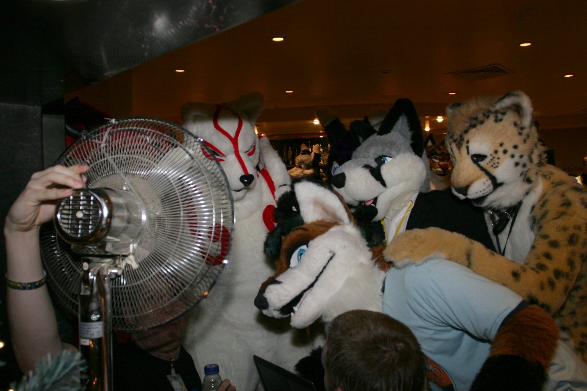 RBW 2007, Fursuiters (groups)