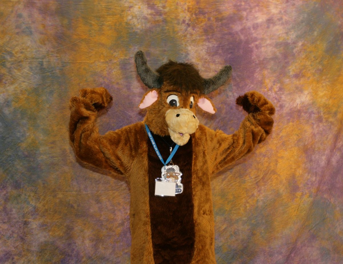 RBW 2008