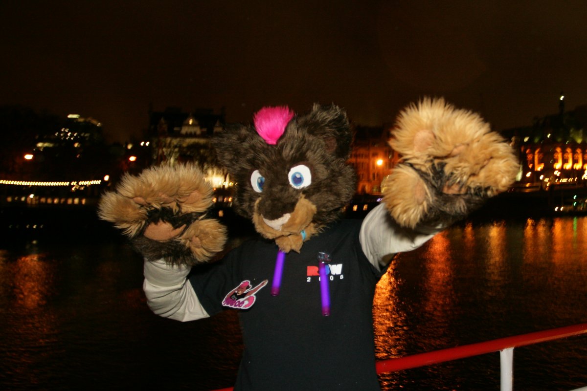 RBW 2008