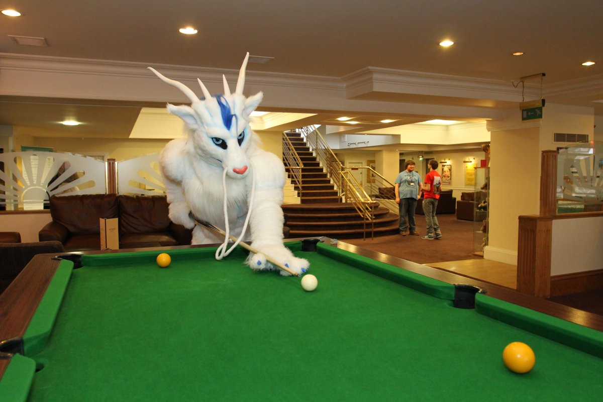 ScotiaCon 2011, Convention photos