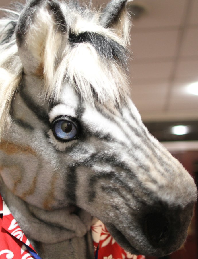 ScotiaCon 2011, Convention photos